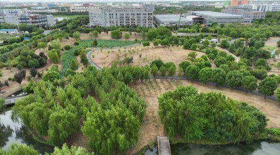 清河湾地区的沁园湖绿地广场是香花桥街道的地标公园.