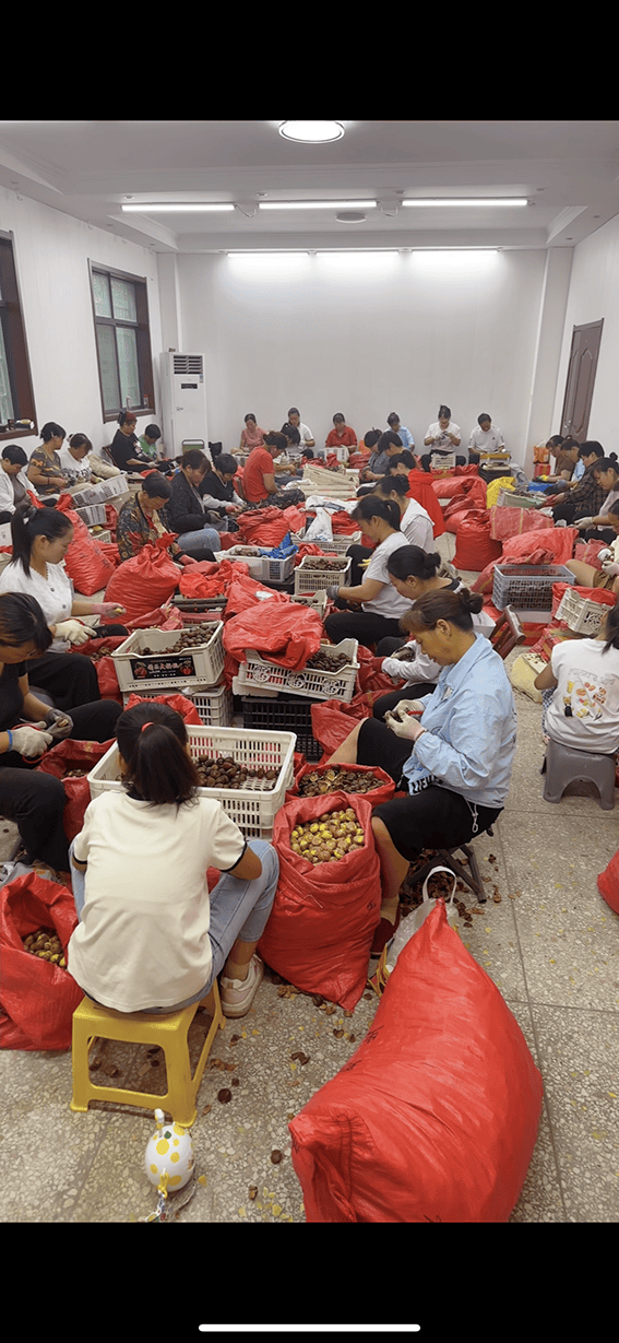 信阳90后小两口返乡直播卖板栗,一年跻身行业头部商家 信阳90后小两口返乡直播卖板栗,一年跻身行业头部商家