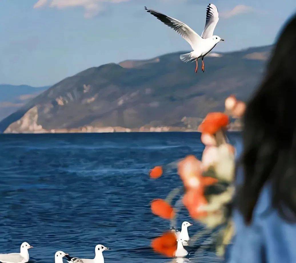 头像 | 微信头像一天一换