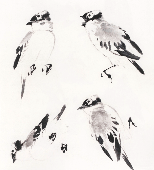 名家教你学国画:萧朗先生示范写意禽鸟画法