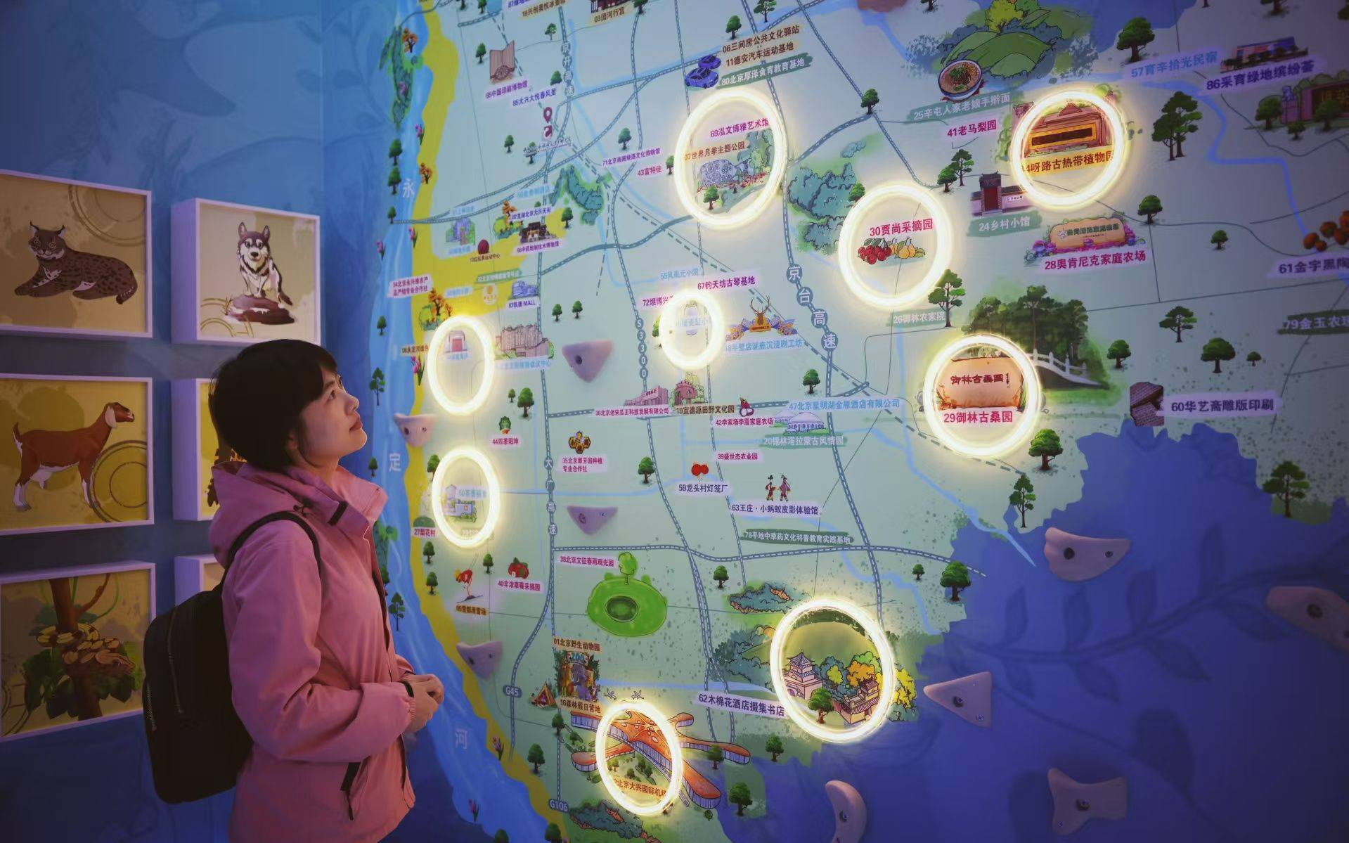 第五届消博会丨从第五届消博会低空经济展区看未来出行新图景