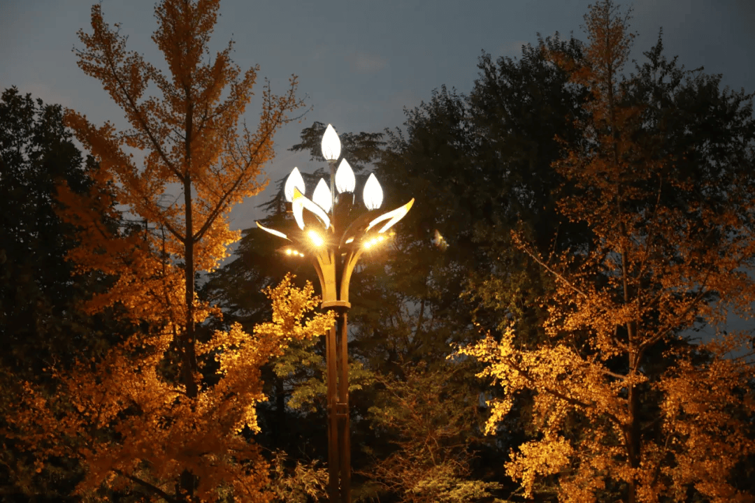 沂水街灯换新颜_交汇处_路灯_照明