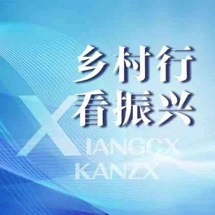 拉法村“飞”起来了_发展_王忠才_经济