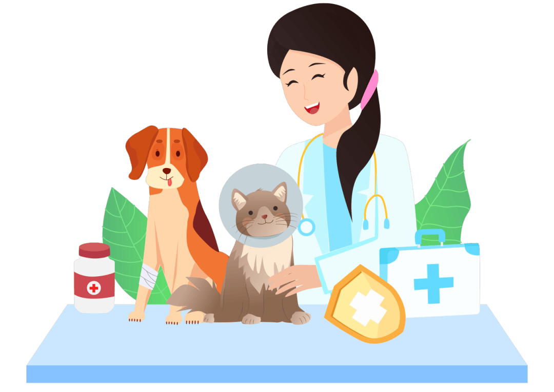 "首违不罚"!这场动物诊疗辐射问题协调会有尺度也有温度!