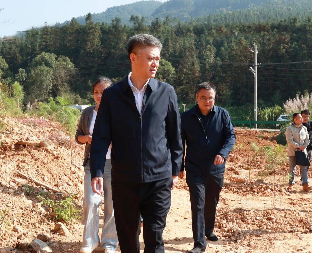 11月3日,县委书记易刚在深入乡镇调研耕地保护和自然资源督察发现问题