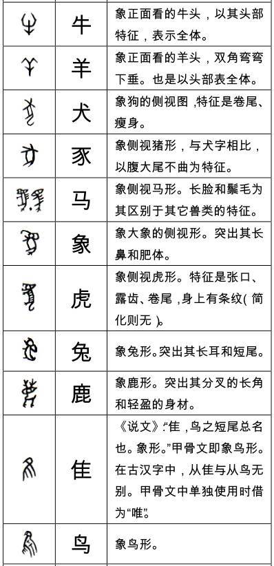 待破解的甲骨文字列表图片