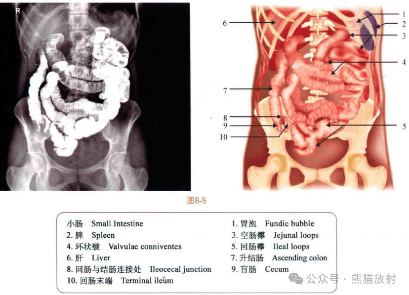 厚腹梁与薄腹梁图片