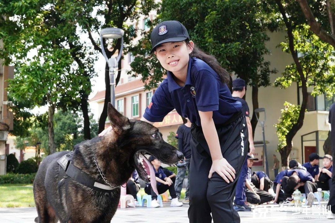 铁警神犬电视剧图片