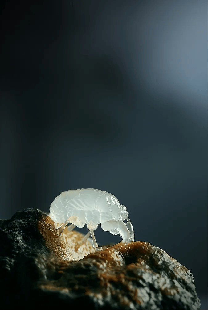 一千个人有一千个答案