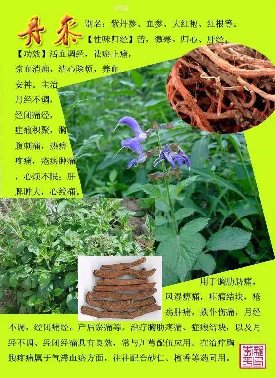 12000种中草药大全图片图片