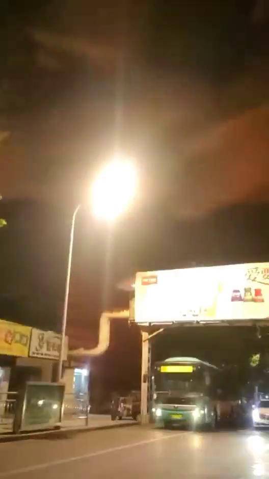 危险动作请勿模仿 滁州市湖心路小学门口旁边路灯故障请相关单位尽快