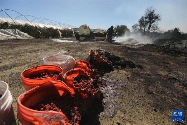 美国加州洛杉矶附近山火“失控” 多人受伤 美国加州洛杉矶附近山火“失控” 多人受伤
