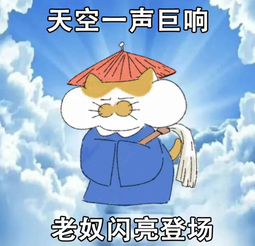 来抄!属于鲁美人的双十一购物宝典