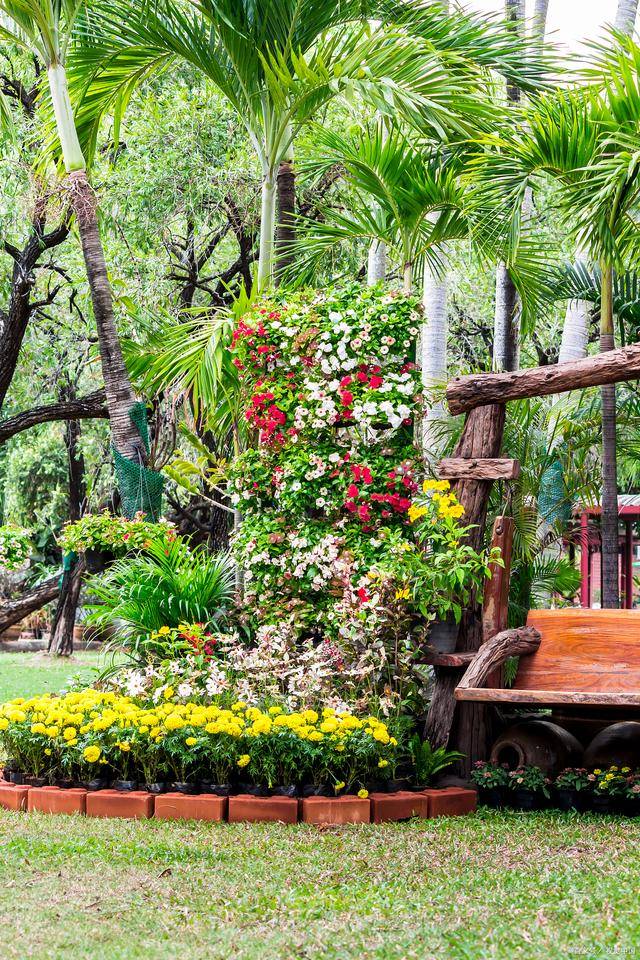 四川农业大学观赏园艺学专业:花卉王国的园艺师;园艺美学的探