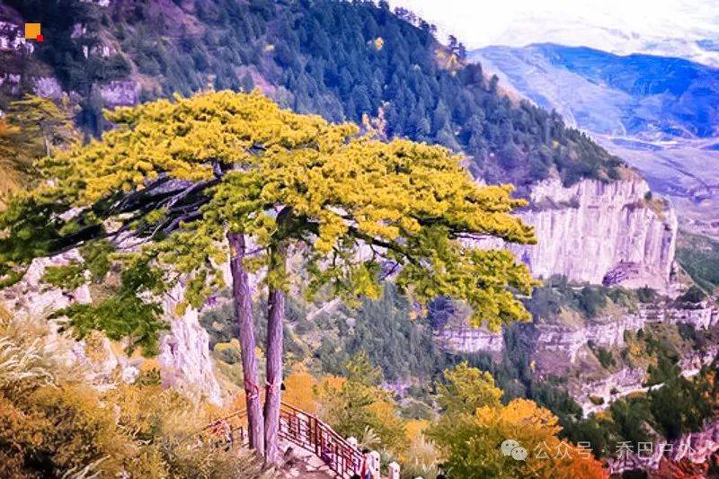 周末2天|大同|跟着悟空游大同の云冈石窟-北岳恒山-悬空寺-大同古城