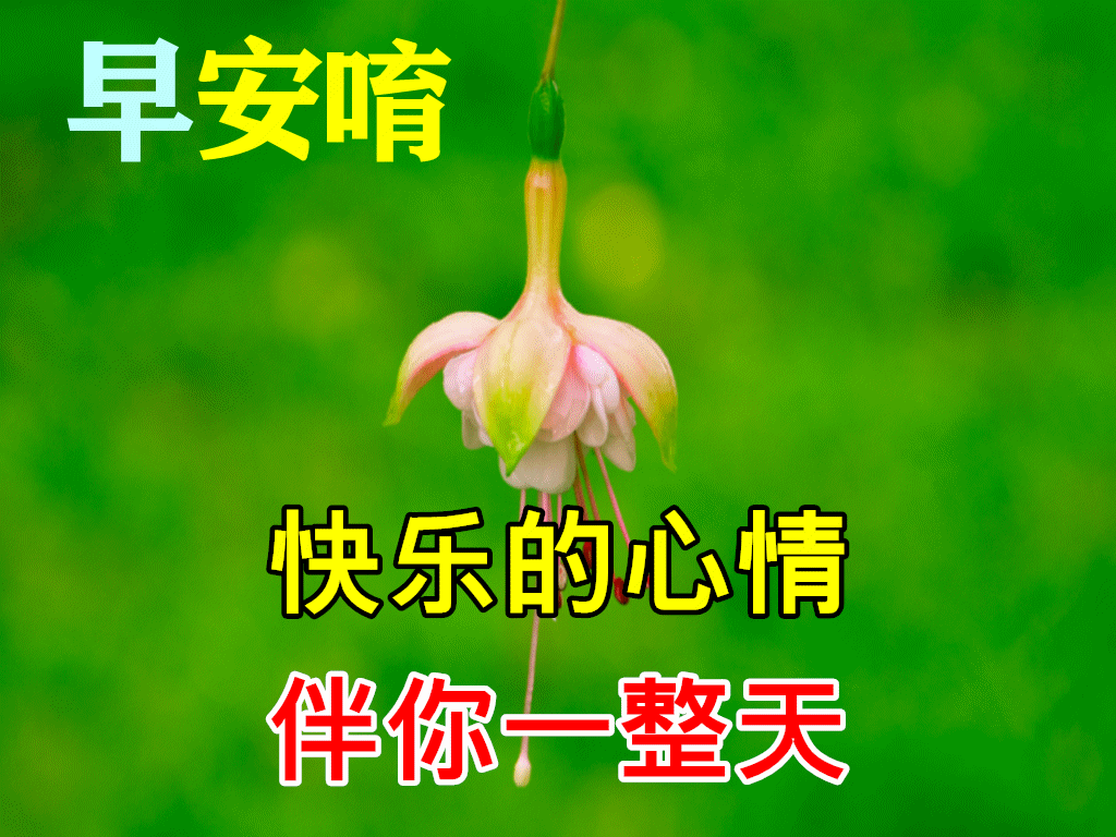 11月11日早上好动态表情图片及早晨好动图美图大全 秋的思念 生命中