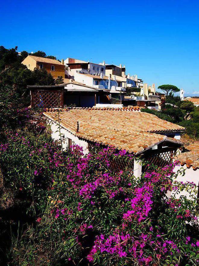 图片[15]-中产和老钱的距离，隔着一个翡翠海岸 -华闻时空