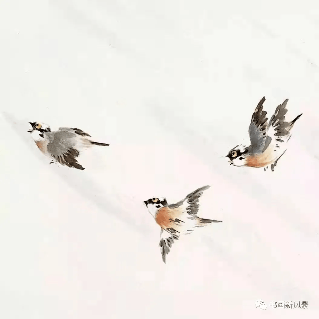 一组写意小鸟
