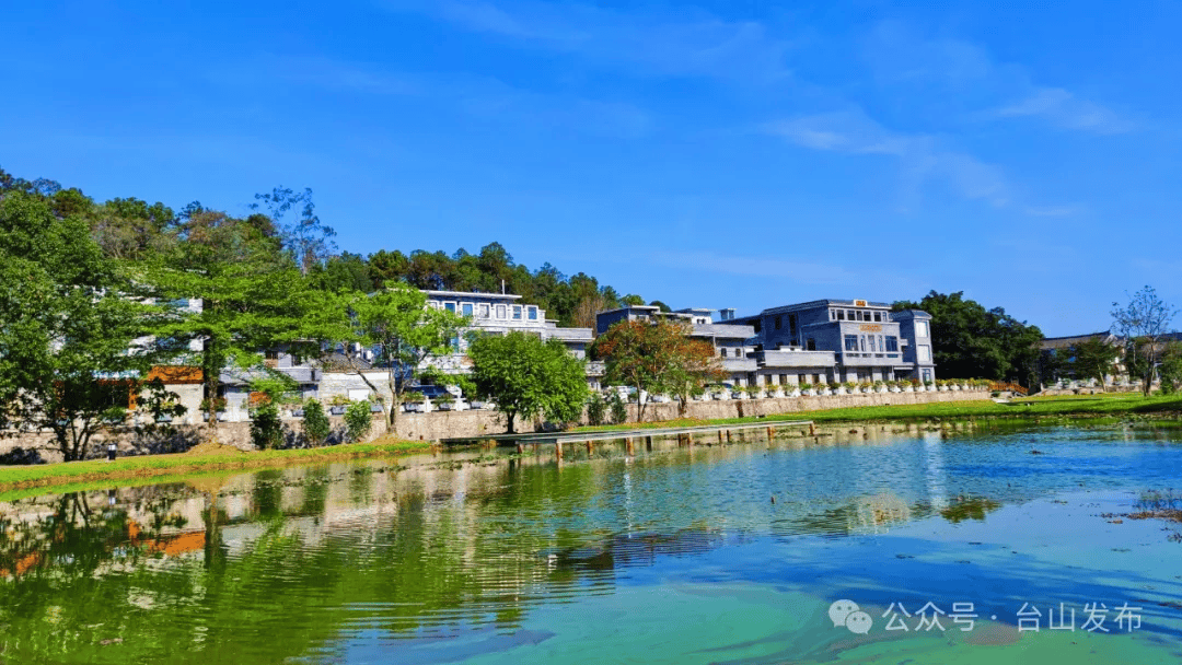 藏不住!台山这条村入选省"美丽庭院"特色村