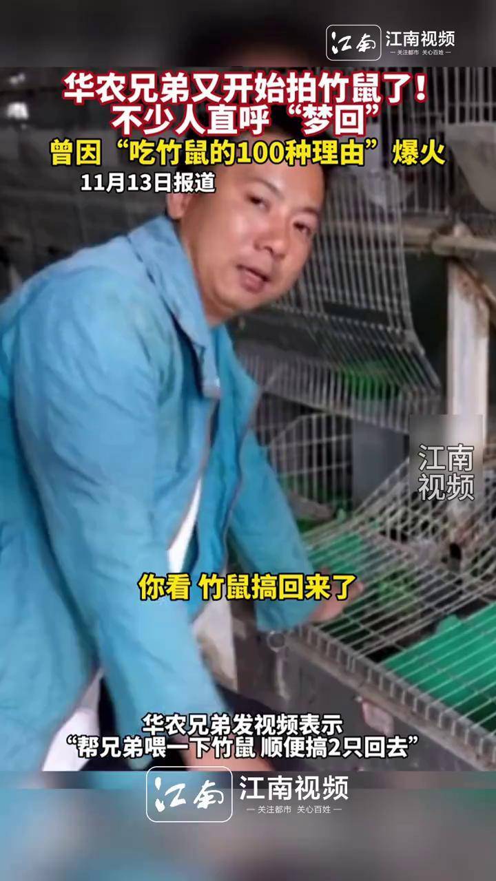 华农兄弟竹鼠梗图片