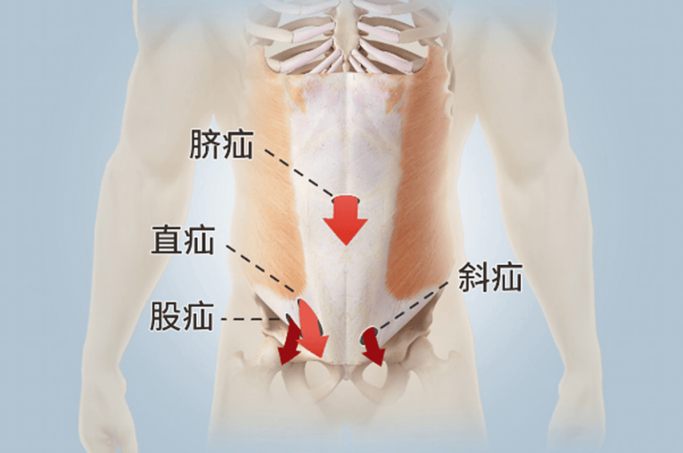 高婉瑜:《天回医简》的"狐"与"疝"