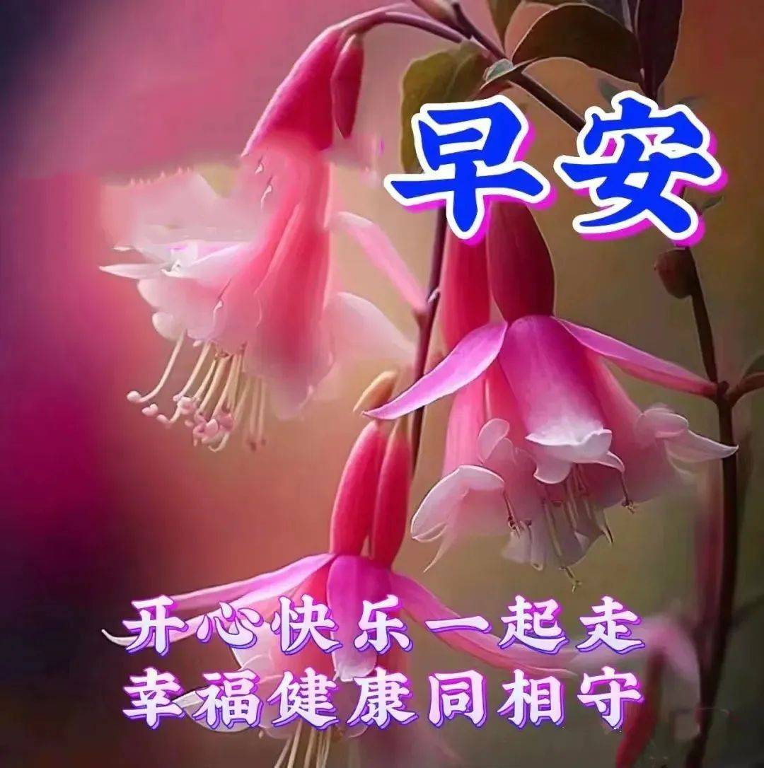 精美祝福图片 问好图片