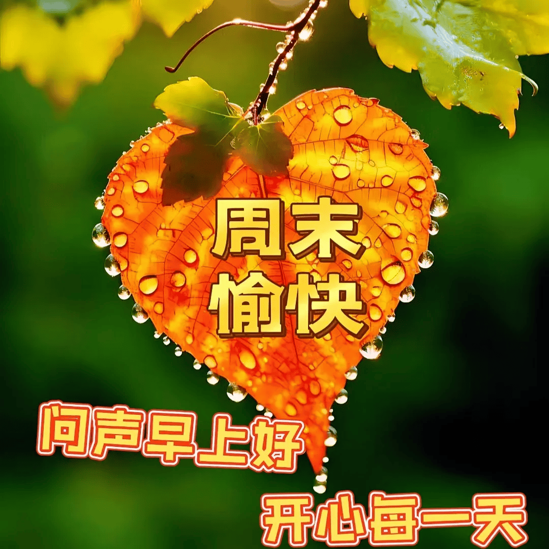 周末早上好,精选早安温馨祝福图片带字问候语录