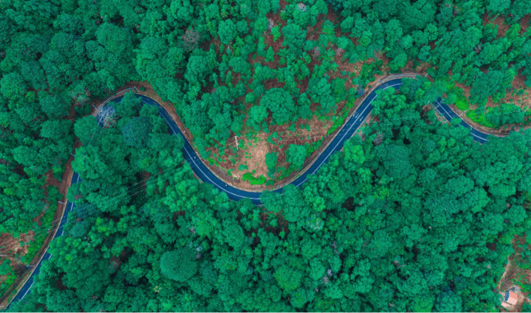 河源市青年人才交流联谊活动圆满举办