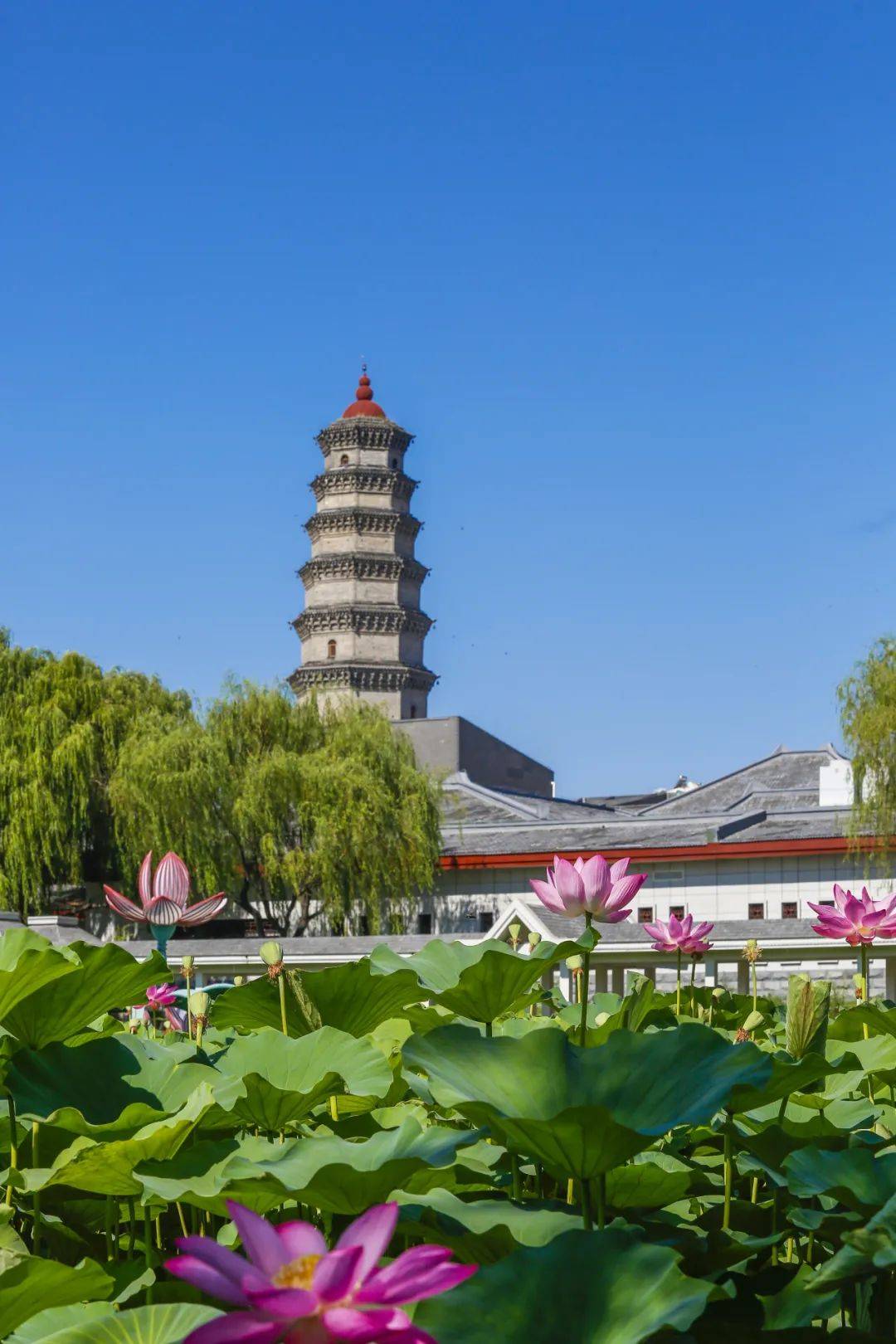 建筑大师梁思成与滕州龙泉塔