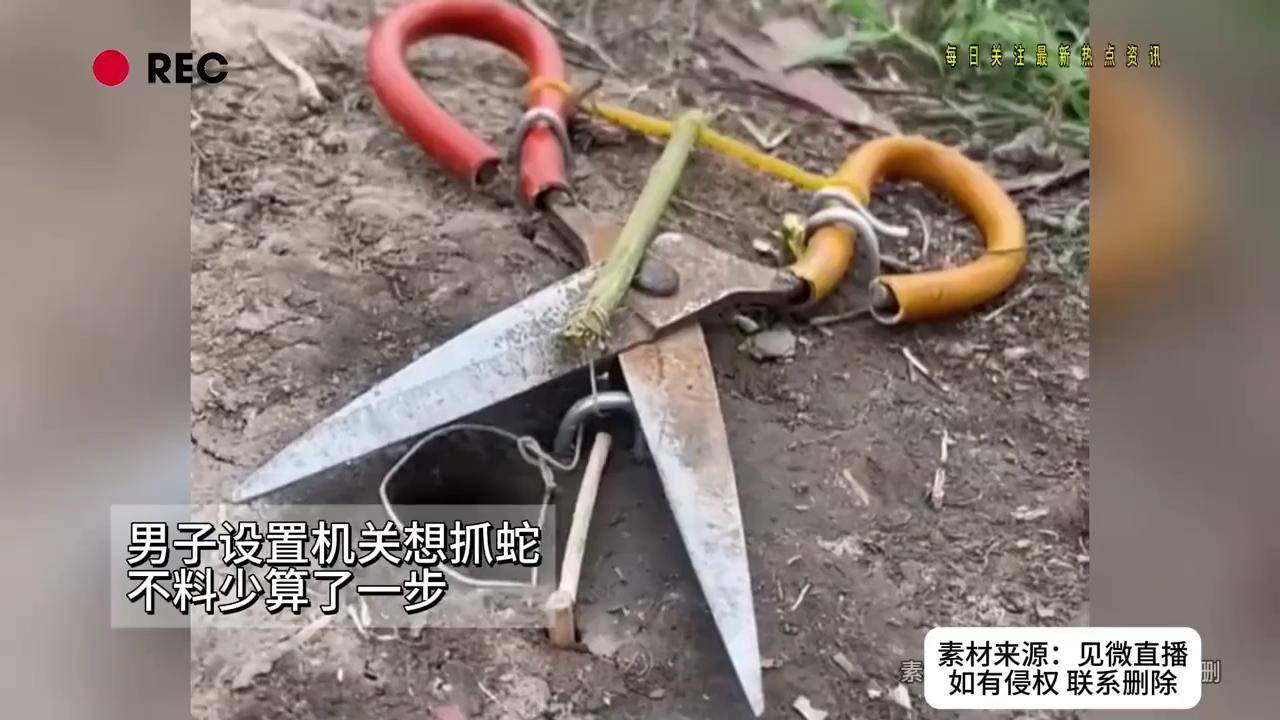 捕蛇器工具简易图片