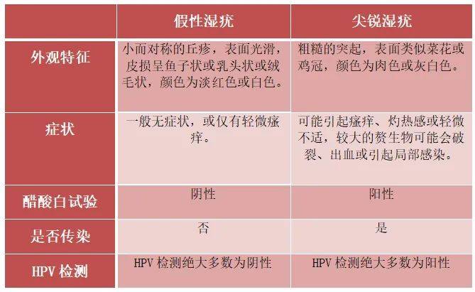 外阴长颗粒图片