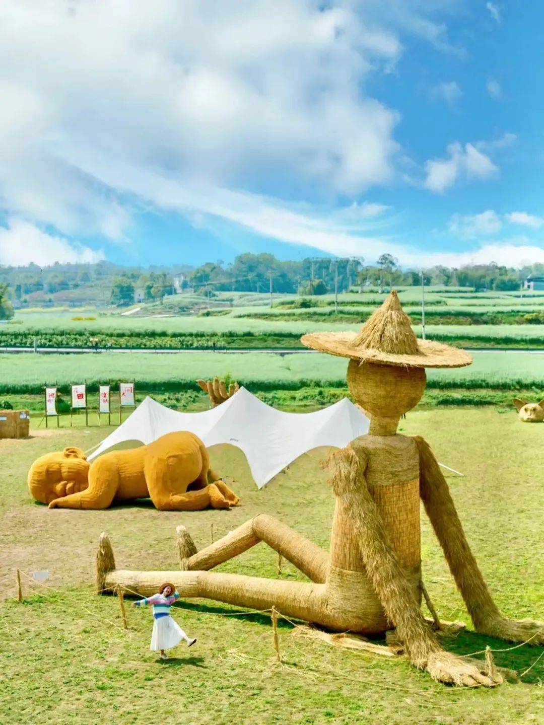 城头山国际稻草艺术节,11月16日起盛大迎客!