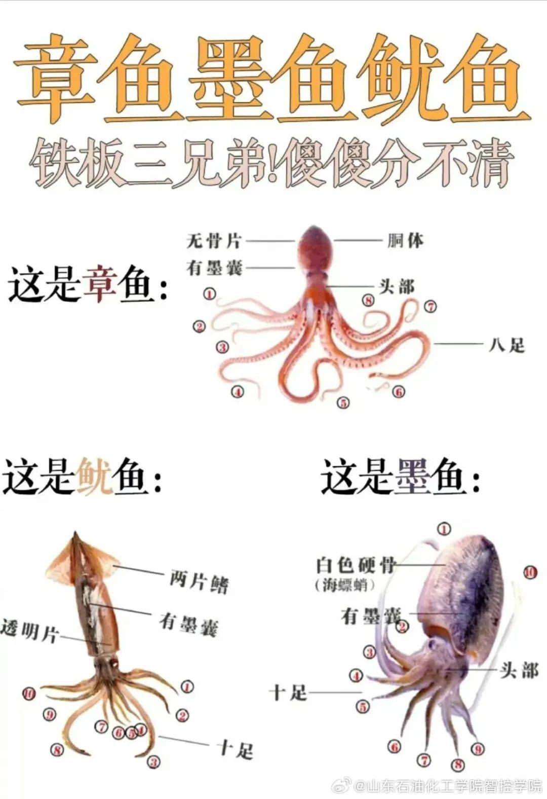 很多深圳人爱吃
