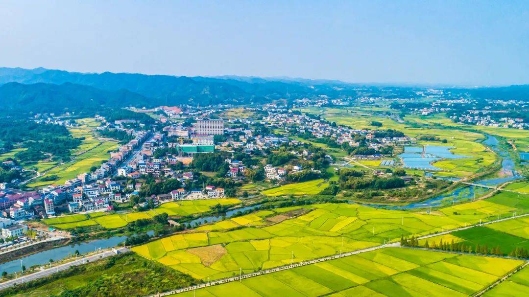 浏阳市社港镇:有山有水有底蕴,文旅"融"出乡村振兴好光景