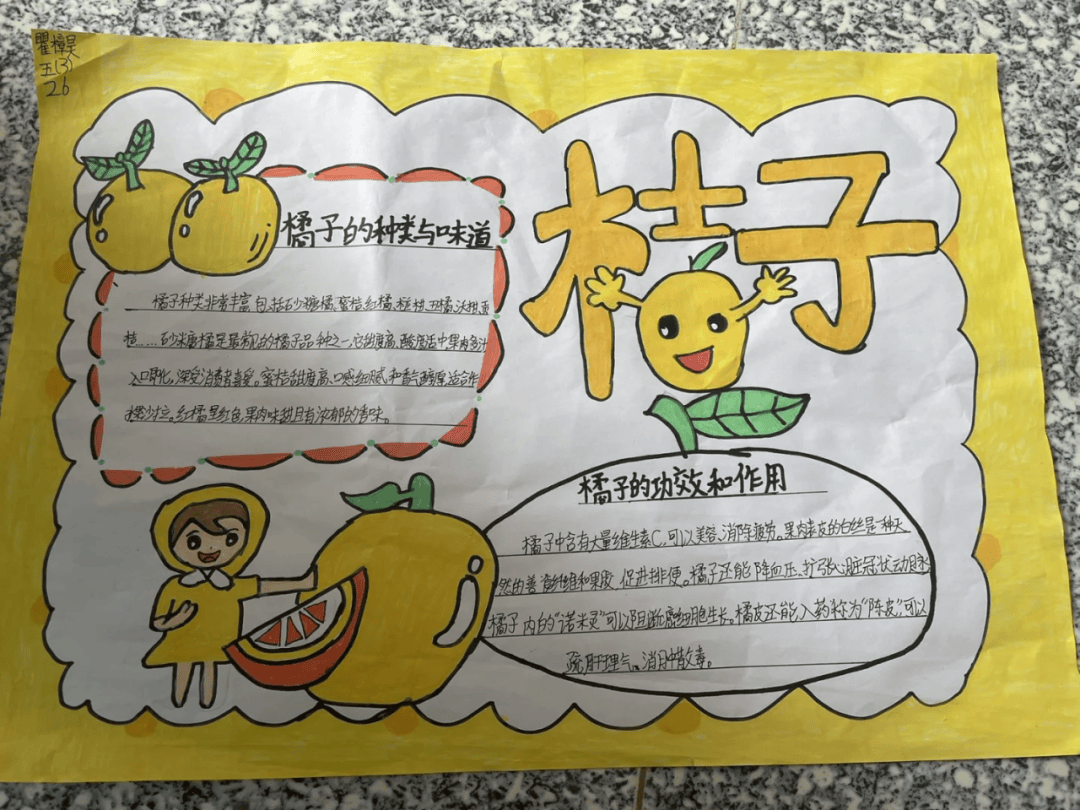 孩子们通过自己的方式深入探索橘子,用精美的手抄报揭示橘子的奥秘
