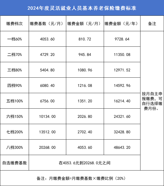 2022年社保缴费明细表图片