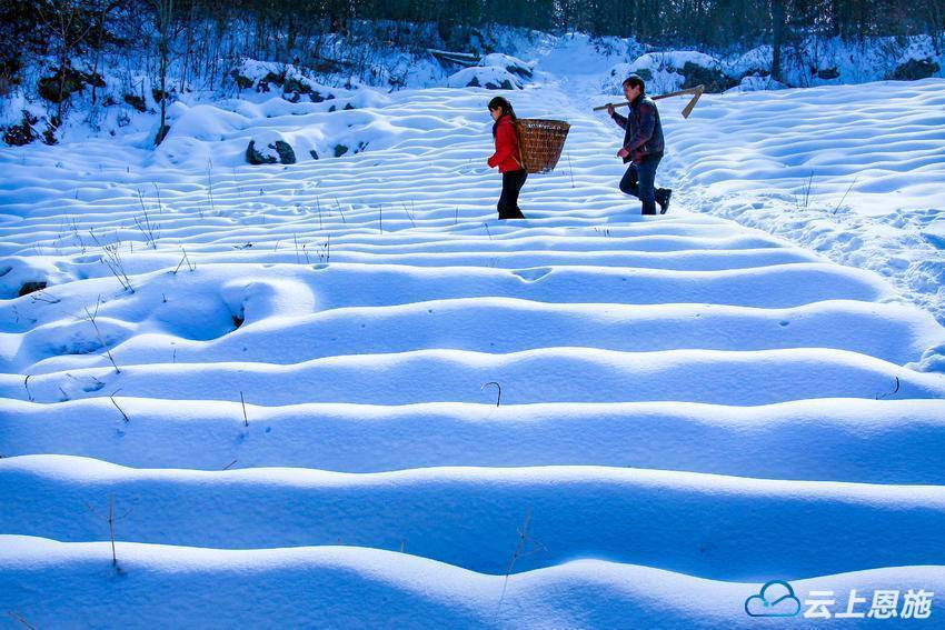 利川雪景图片