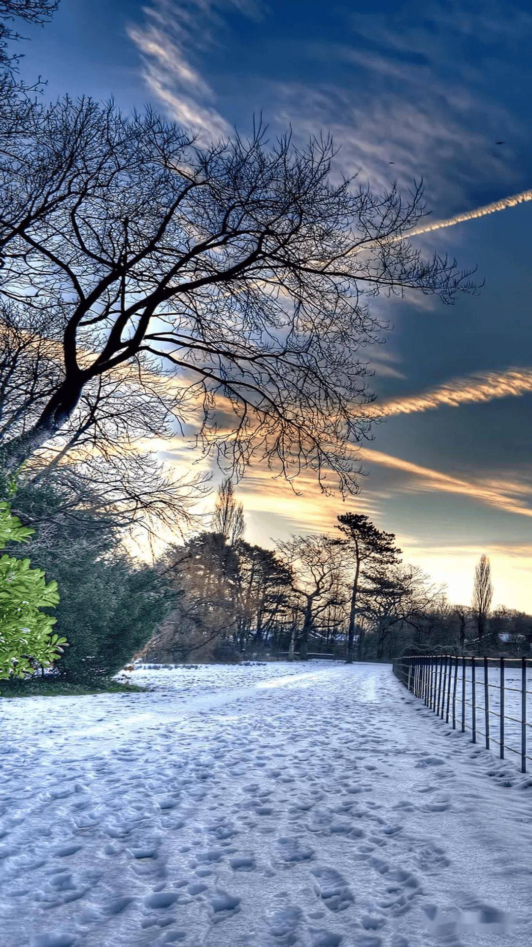 凄美图片雪景图片