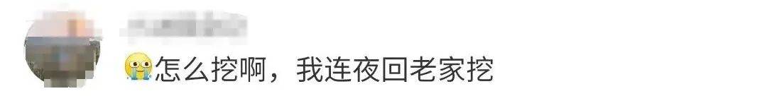 超1000吨！价值6000亿！超40条金矿脉在这里被发现……