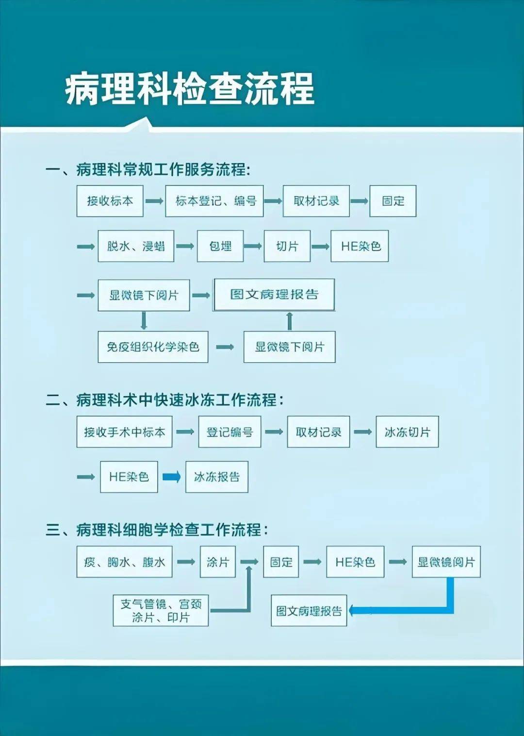 带您走进"神秘"的病理科