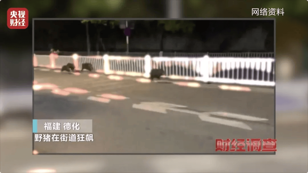 已确认，当场击毙！