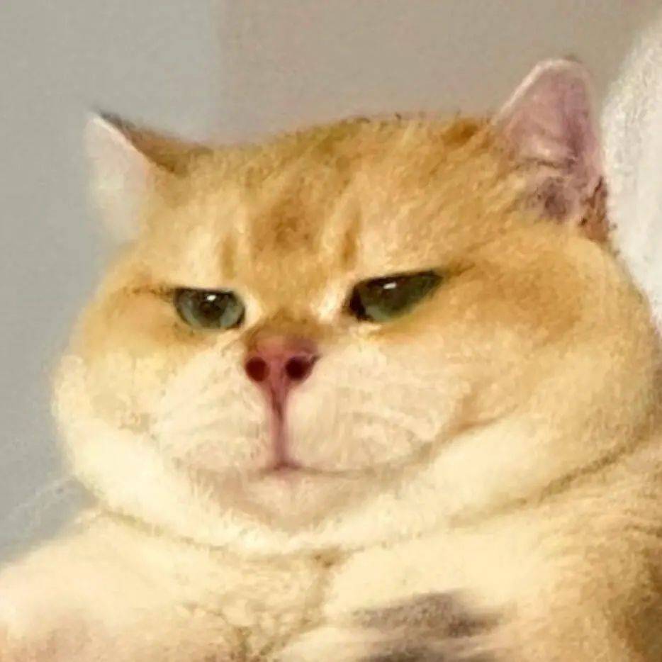 搞怪猫猫表情包