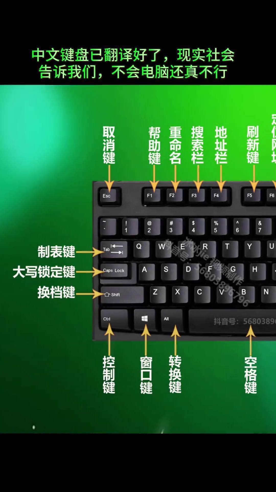 先从认识键盘开始,再学习打字,制作表格,一个星期就会了