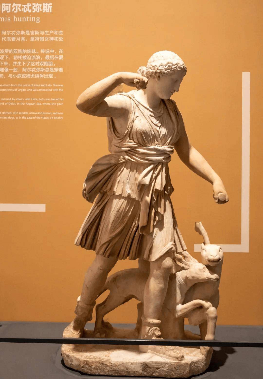 在展览中大家将有机会亲眼目睹雅典娜阿波罗阿芙洛狄忒等古希腊