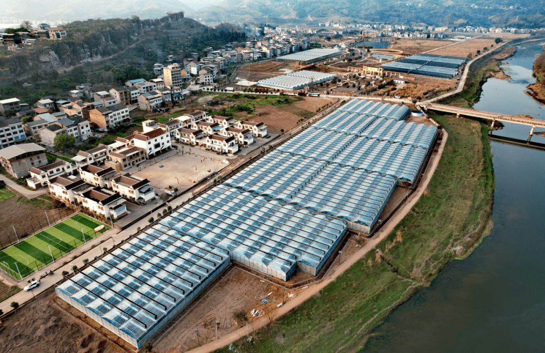 潍坊寿光在外建设超100亩的蔬菜园区达到99个