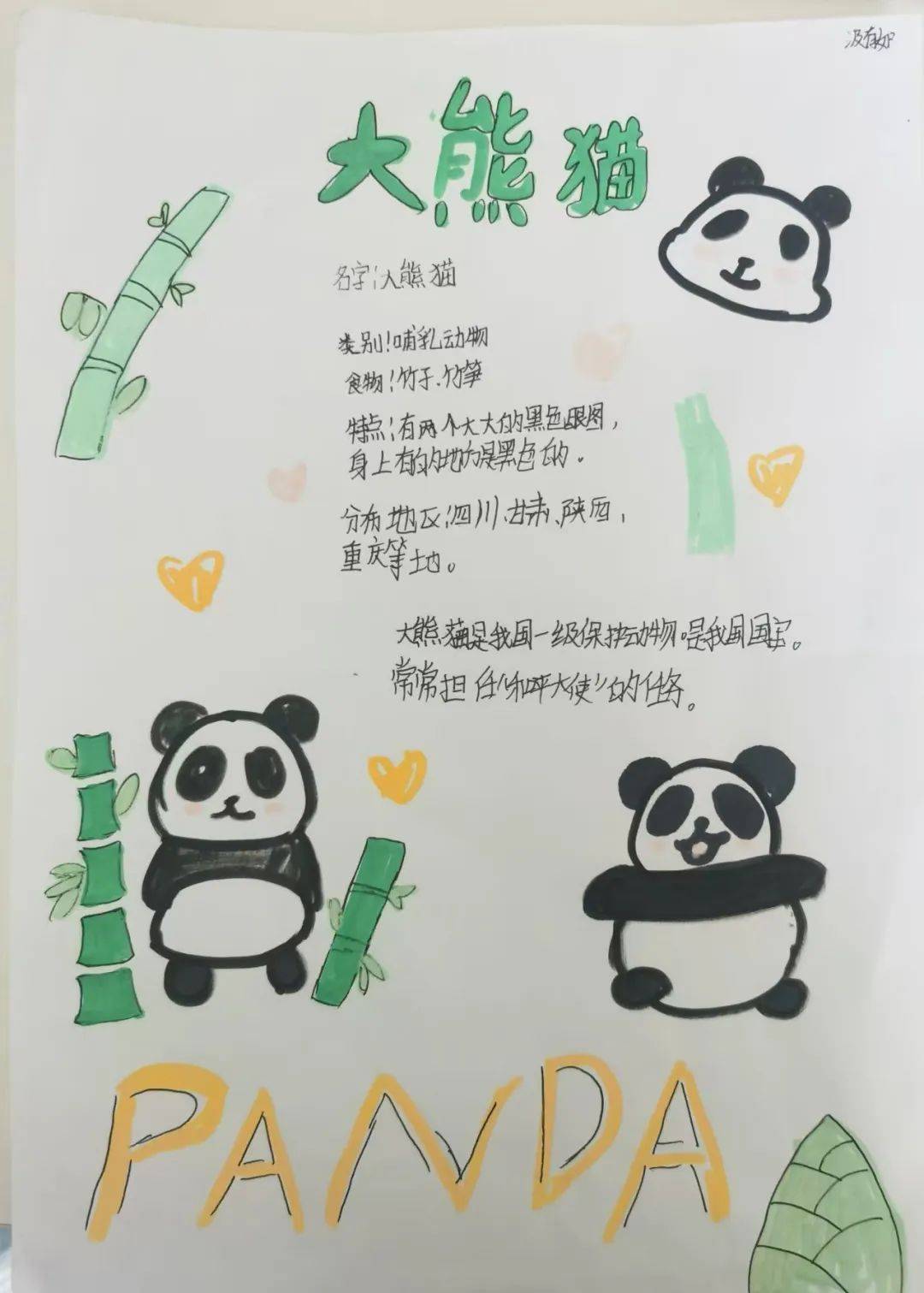 带你 "逛" 动物王国丨爆台寺小学五年级语文组开展特色作业展示活动