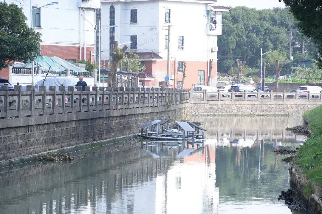 果博平台从“臭河道”到“清水湾”家门口的三条河道焕新升级→(图4)