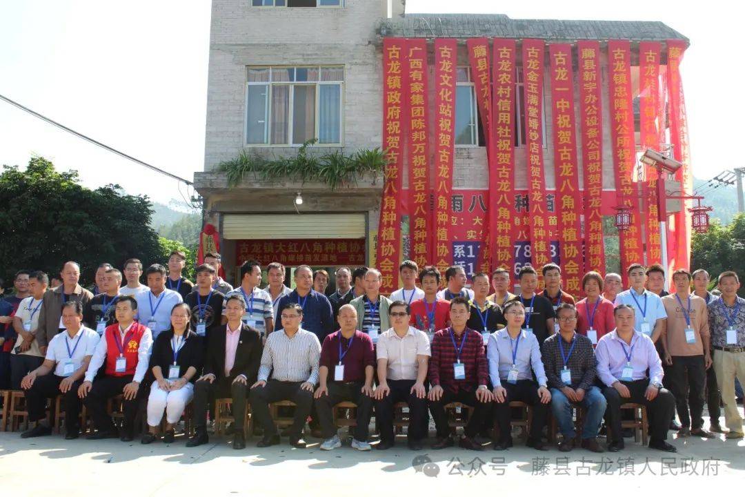 藤县古龙八角:百年香韵,产业传奇