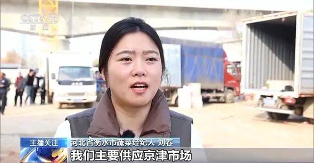 华体会网址蔬菜也要盖棉被寒潮下蔬菜如何稳产保供？(图15)