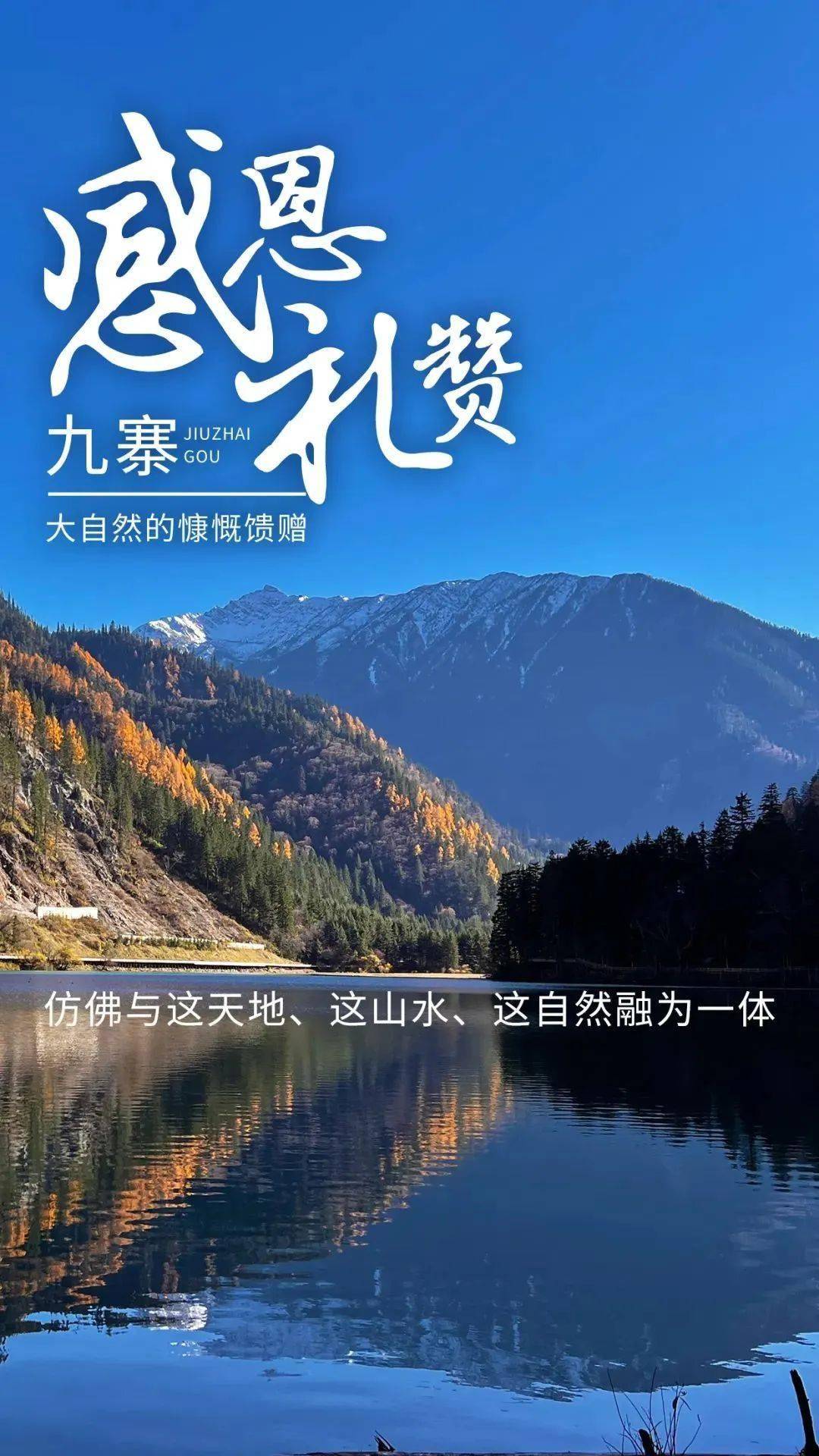 天下九寨沟 大美阿坝州 | 怀感恩之心赴九寨盛景,揽纯洁浪漫赏自然灵犀_长海_心灵_守护者